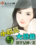 小职员与大总裁封面