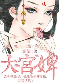 大宫婢封面