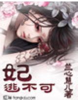 妃逃不可封面