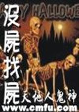 没尸找尸封面