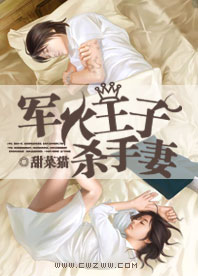 军火王子杀手妻封面