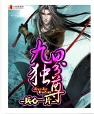九界独尊封面