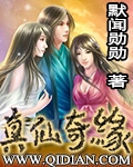 真仙奇缘封面