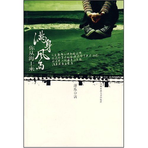 满身风雨你从海上来封面