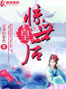 惊世皇后封面