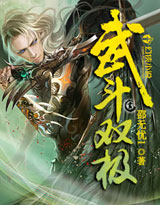武斗双极封面