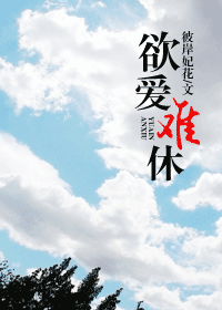 欲爱难休封面