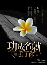 功成名就丢了你封面