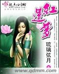 红莲梦封面