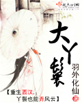 大丫鬟封面