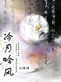 冷月吟风封面