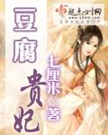 豆腐贵妃封面