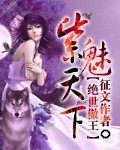 绝世傲王紫魅天下封面