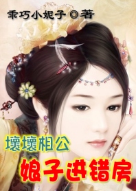坏坏相公:娘子进错房封面