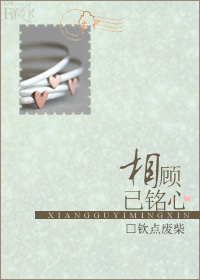 相顾已铭心封面