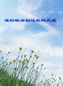 谁的眼泪划过我的天堂封面