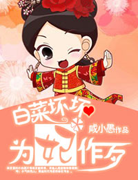 白菜坏坏,为妃作歹封面
