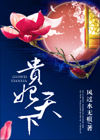 贵妃天下封面