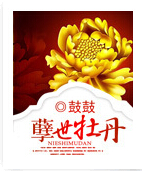孽世牡丹封面