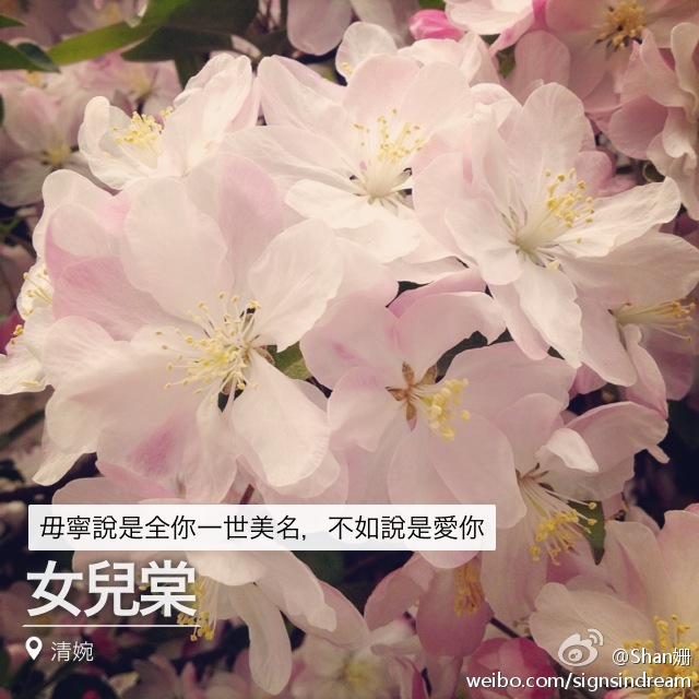 女儿棠封面