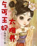 乞丐王妃太难养封面