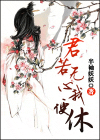 君若无心我便休封面