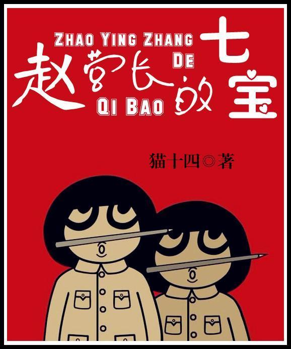 赵营长的七宝封面