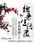 魏晋生活录封面
