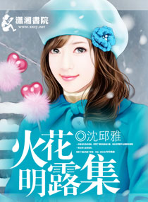 火花明露集封面