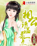 相公,请温柔一点封面