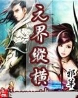 元界纵横封面