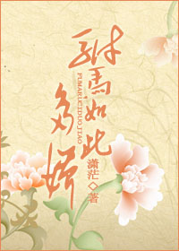 驸马如此多娇封面
