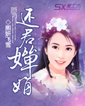 还君婵娟封面