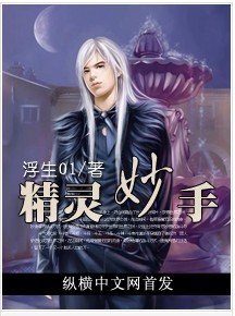 精灵妙手封面