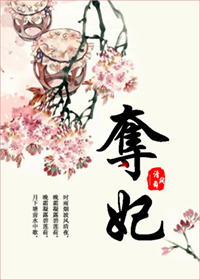 夺妃封面