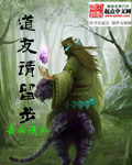 道友请留步封面