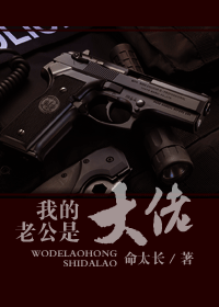 我的老公是大佬封面