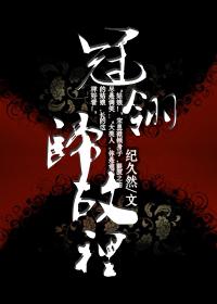 冠翎归故里封面