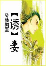 惑妻(原名诱妻)封面
