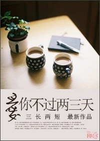 爱你不过两三天封面