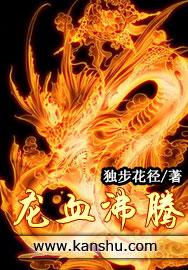 龙血沸腾封面