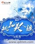 桃花美人谣封面