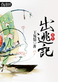书生出逃记封面