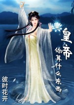皇帝你算什么东西封面