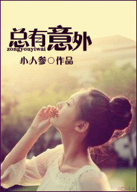 总有意外封面
