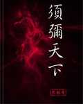 须弥天下封面
