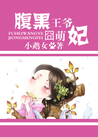 穿越之腹黑王爷囧萌妃封面