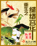 重生之缱绻容华封面