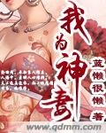 我为神妻封面