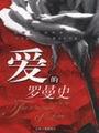 爱的罗曼史封面